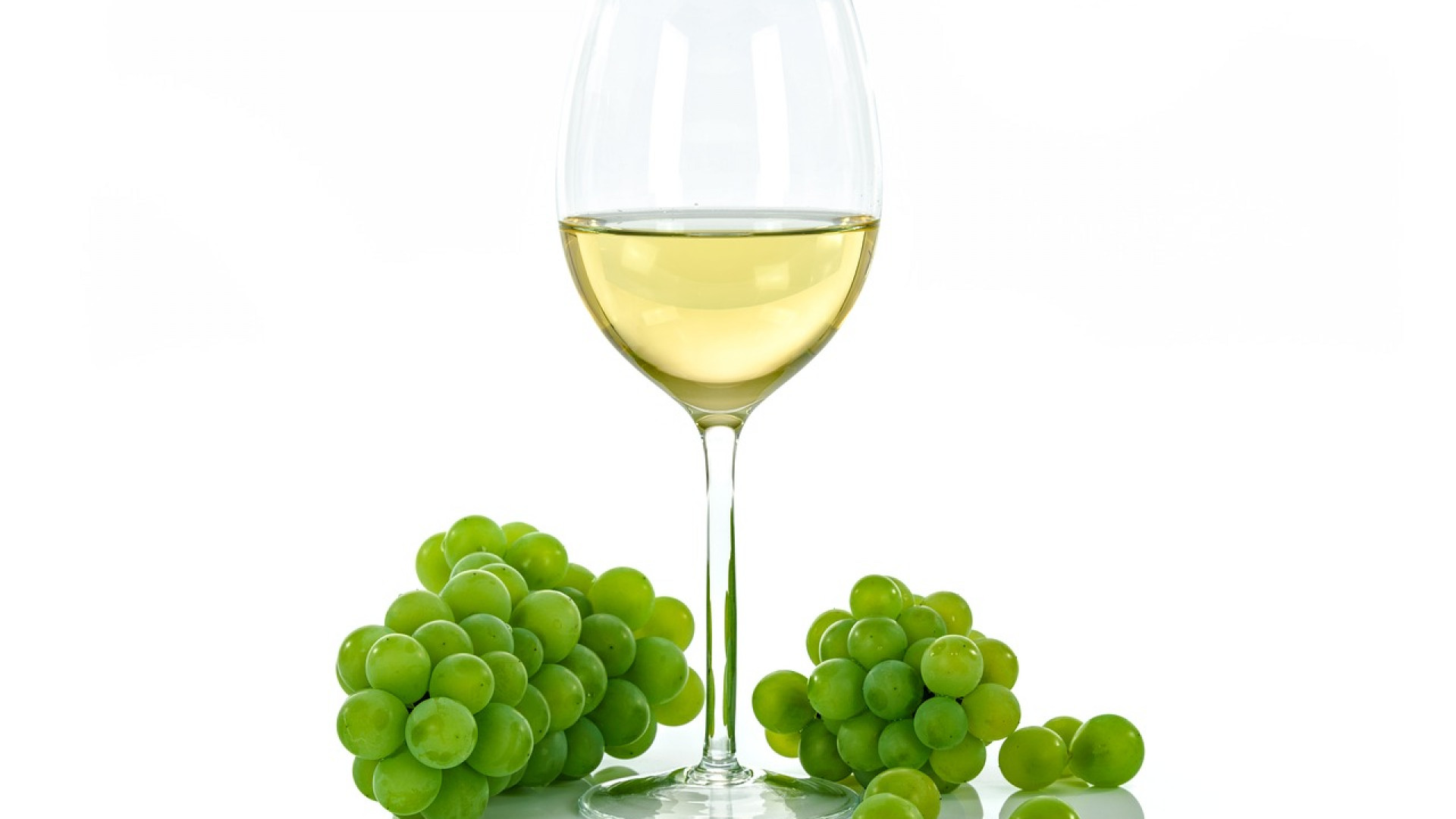 5 raisons pour lesquelles vous devriez découvrir les vins bio