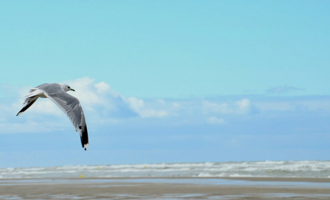 Cap Breton : une destination d'exception pour vos vacances