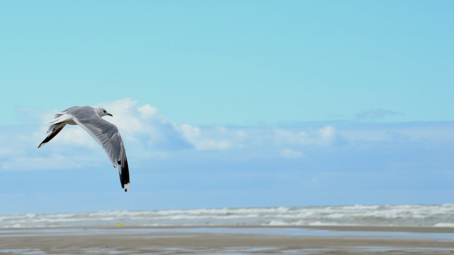 Cap Breton : une destination d'exception pour vos vacances