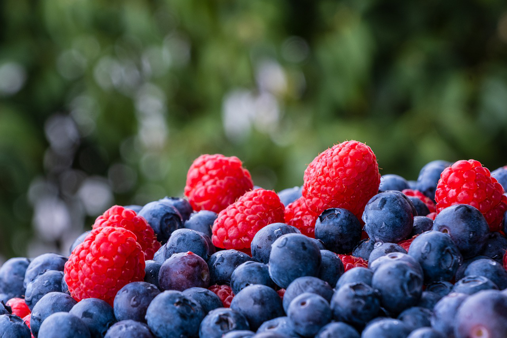 fruit antioxydant