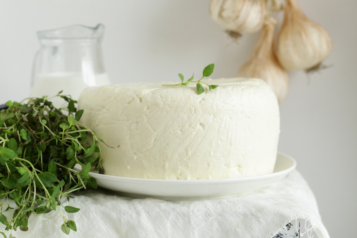 fromage fermenté