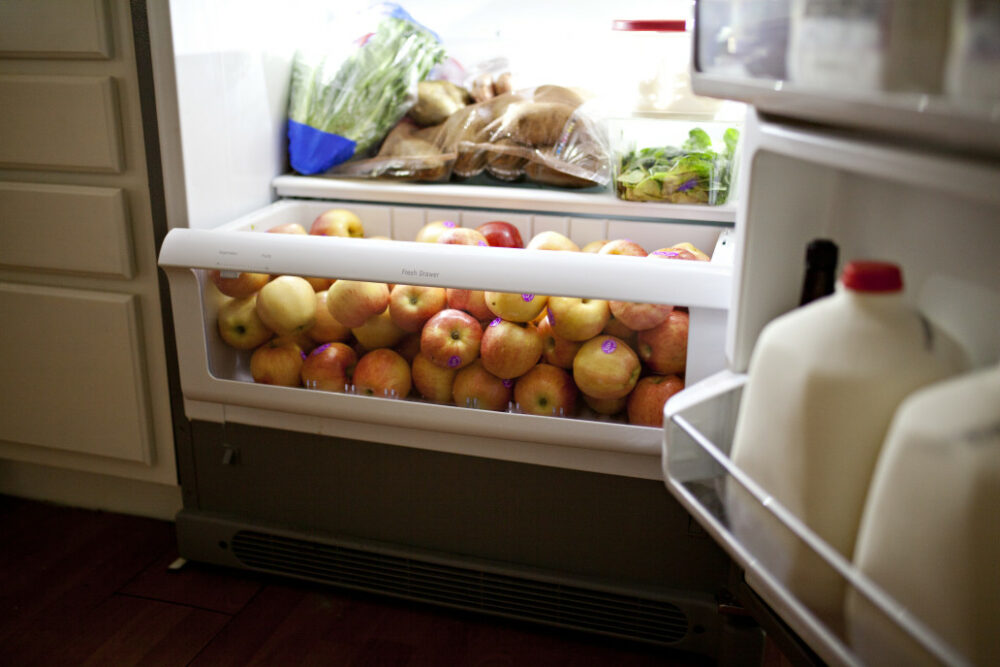 laitue dans le frigo